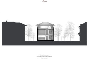 Perspective section